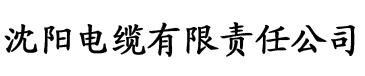 右手影院电缆厂logo